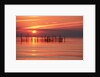 Silhouetted Fishing Net at Sunset by Anonymous