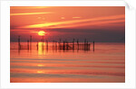 Silhouetted Fishing Net at Sunset by Anonymous