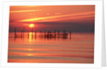 Silhouetted Fishing Net at Sunset by Anonymous