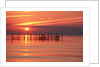 Silhouetted Fishing Net at Sunset by Anonymous