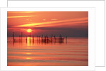 Silhouetted Fishing Net at Sunset by Anonymous