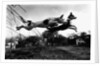 Dogs Leaping Over Wire Fence by Anonymous