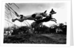 Dogs Leaping Over Wire Fence by Anonymous