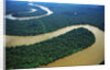 Meandering Tigre River by Anonymous
