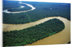 Meandering Tigre River by Anonymous