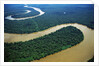 Meandering Tigre River by Anonymous