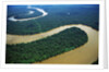 Meandering Tigre River by Anonymous