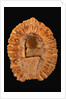 Fossilized Pine Cone by Anonymous