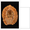 Fossilized Pine Cone by Anonymous