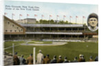 Postcard of the Polo Grounds in New York City by Anonymous