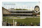 Postcard of the Polo Grounds in New York City by Anonymous