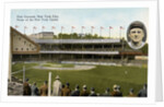 Postcard of the Polo Grounds in New York City by Anonymous
