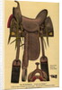 Postcard of a Horse Saddle by Anonymous