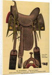 Postcard of a Horse Saddle by Anonymous
