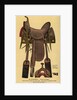 Postcard of a Horse Saddle by Anonymous