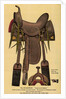 Postcard of a Horse Saddle by Anonymous