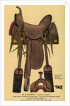 Postcard of a Horse Saddle by Anonymous