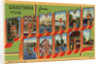 Greeting Card from the Panama Canal by Anonymous