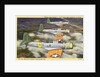 US Navy Scout Bombers on Patrol by Anonymous