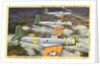 US Navy Scout Bombers on Patrol by Anonymous