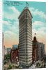 Flat Iron Building at Broadway and Fifth by Anonymous