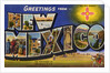 Greeting Card from New Mexico by Anonymous
