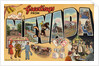 Greetings from Nevada Postcard by Anonymous