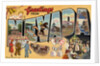 Greetings from Nevada Postcard by Anonymous