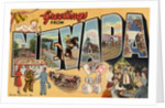 Greetings from Nevada Postcard by Anonymous