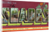 Greeting Card from Scenic Park by Anonymous