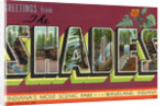 Greeting Card from Scenic Park by Anonymous