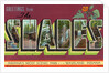 Greeting Card from Scenic Park by Anonymous