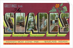 Greeting Card from Scenic Park by Anonymous