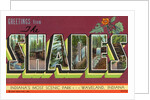 Greeting Card from Scenic Park by Anonymous