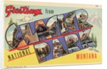 Greeting Card from Glacier National Park by Anonymous