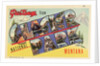 Greeting Card from Glacier National Park by Anonymous