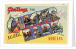 Greeting Card from Glacier National Park by Anonymous