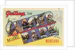 Greeting Card from Glacier National Park by Anonymous