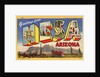 Greeting Card from Mesa, Arizona by Anonymous