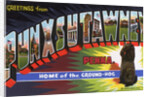 Greeting Card from Punxsutawney, Pennsylvania by Anonymous