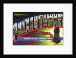 Greeting Card from Punxsutawney, Pennsylvania by Anonymous