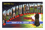 Greeting Card from Punxsutawney, Pennsylvania by Anonymous