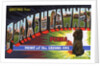 Greeting Card from Punxsutawney, Pennsylvania by Anonymous