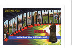 Greeting Card from Punxsutawney, Pennsylvania by Anonymous