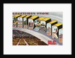 Greeting Card from Goldsboro, North Carolina by Anonymous