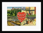 Greeting Card from Rocky Mount, North Carolina by Anonymous