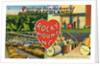 Greeting Card from Rocky Mount, North Carolina by Anonymous