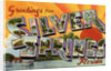 Greeting Card from Silver Springs, Florida by Anonymous