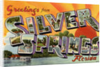 Greeting Card from Silver Springs, Florida by Anonymous