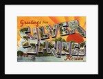 Greeting Card from Silver Springs, Florida by Anonymous